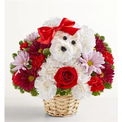 191480_Love_Pup™_Arrangement