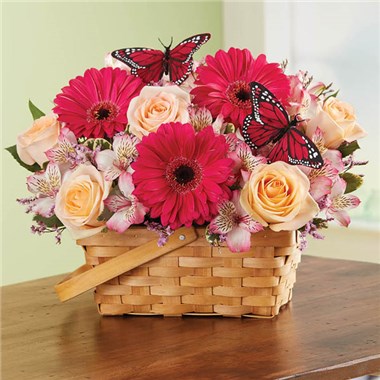 Bountiful Basket™