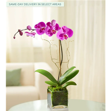 Screenshot_2026-01-16_131921