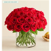 191560_Contemporary_Red_Roses_LG